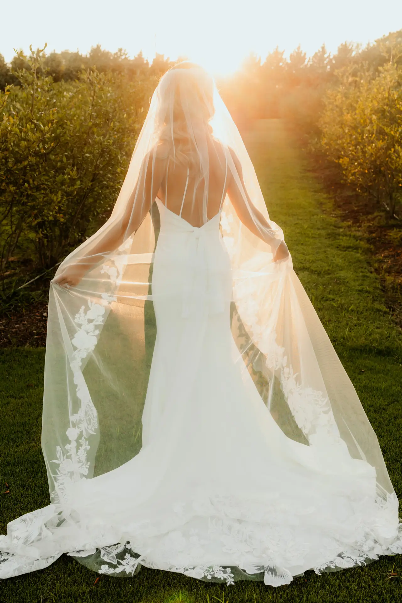 Wedding Photography at Hadden Estate at DGD Farms 18